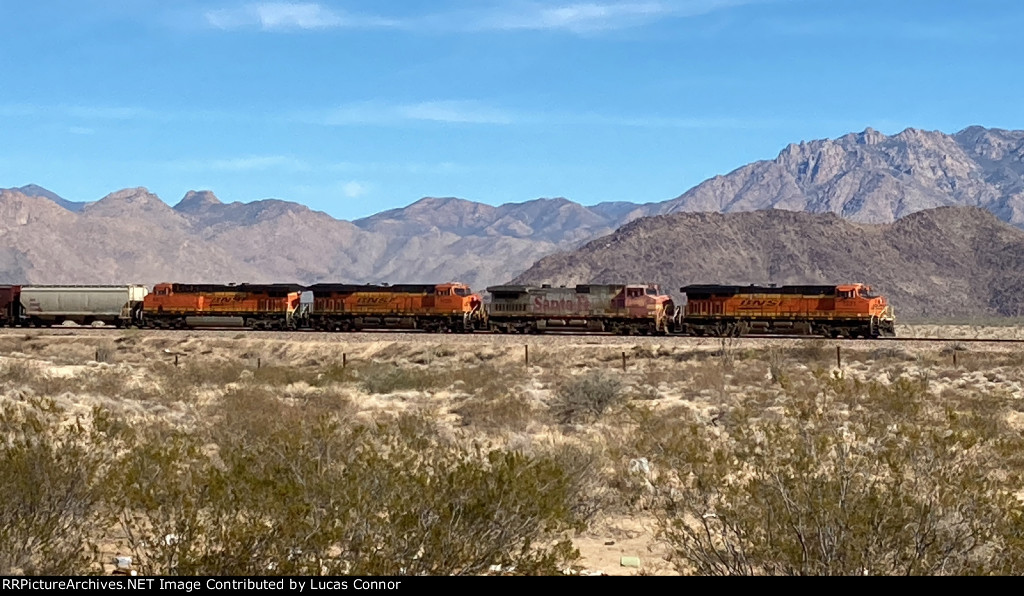 BNSF Westbound Grain